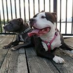 Profile Picture of Jason Vega (@jason.vega.978) on Instagram