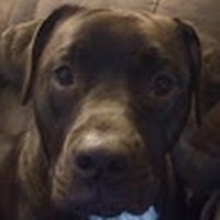 Profile Picture of Alora Davis (@alora-davis-10) on Quora