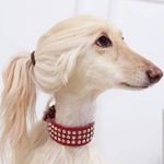 Profile Picture of Alexia Basile (@no.comments.by.alexiabasile) on Instagram