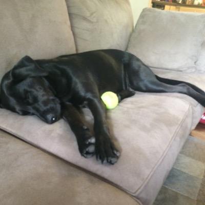 Profile Picture of Brandon Davis (@BrandonBDavis) on Twitter