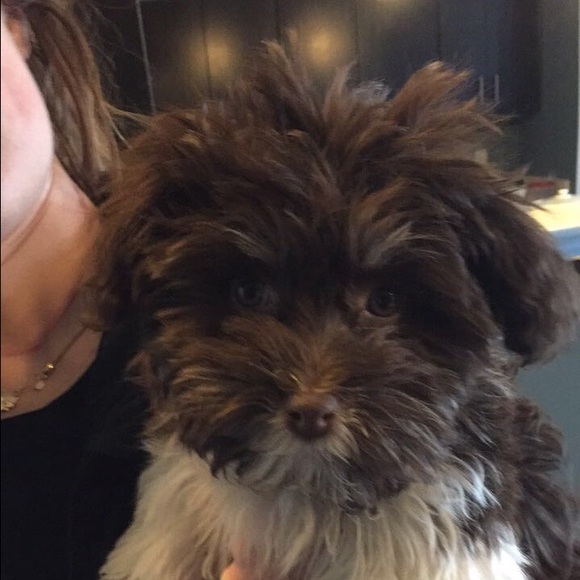 Profile Picture of Jennifer Boeckenstedt (@jenrose55) on Poshmark