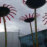 Profile Picture of Carla Workman-Joyce (@carlaworkmanjoyce) on Instagram