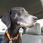 Profile Picture of Chey 🌟 Edmonds (@kentucky_girl9716) on Instagram