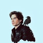 Profile Picture of Ian Joseph Somerhalder🧛‍♂️ (@delena.official.tvd) on Instagram