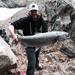 Profile Picture of Todd Ayers (@todd_ayers) on Instagram