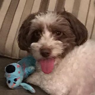 Doug Sternberger - Facebook Profile Picture of Doug Sternberger (@Doug-Sternberger) on Facebook