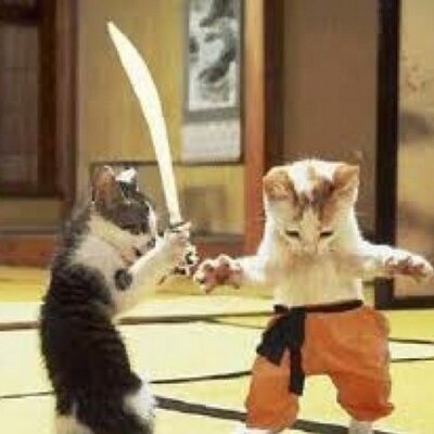 Profile Picture of Alex Leiva (@alexleiva3) on Twitter