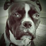 Profile Picture of Jenna Shay (@jenna.shay.963) on Instagram