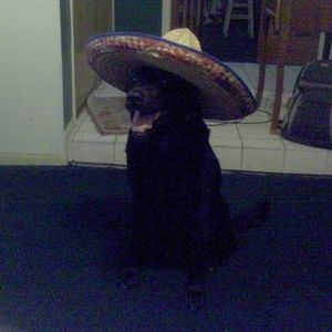 Profile Picture of Zachary Mcdaniel (@zacharymcdaniel) on Myspace