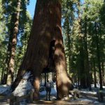 Profile Picture of Michael Nesci (@whereismichaelnesci) on Instagram