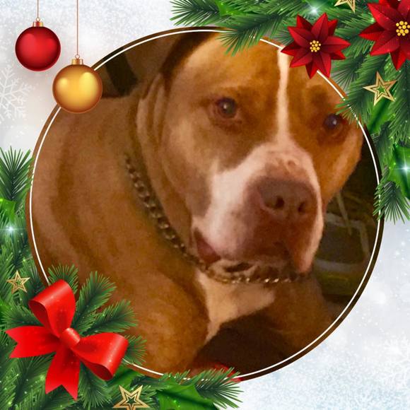 Profile Picture of James Mayer (@james_mayhar) on Poshmark