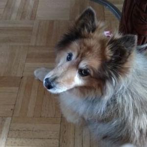 Profile Picture of Shirley Boyer (@BoyerSboyer6562) on Twitter