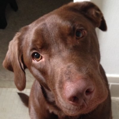 Profile Picture of Sean (@KB_Swinger) on Twitter