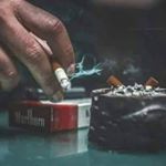 Profile Picture of Basel Saad (@basel2382) on Instagram