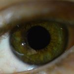 Profile Picture of Jamie Henninger (@jamie.r.henninger) on Instagram