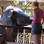 Profile Picture of Michaela Cadden (@caddenmichaela) on Instagram