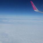 Profile Picture of ovidiu mihalca (@mihalca) on Instagram