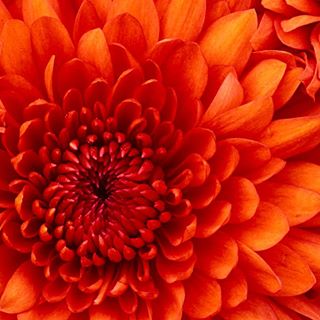 Profile Picture of Wilma Vanderhoek (@wilma.vanderhoek.7) on Facebook