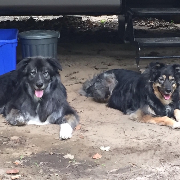 Profile Picture of Beth Garbutt (@bethgarbutt) on Poshmark