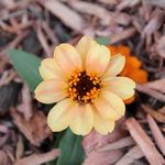 Nick Rivers - Instagram Profile Picture of Nick Rivers (@riverspictures) on Instagram