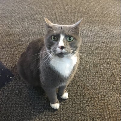 Profile Picture of Kyle Maloy (@kyle_maloy_) on Twitter