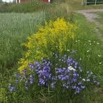 Profile Picture of Britt Molander (@britt.molander.9) on Facebook