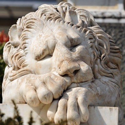 Profile Picture of M.H. (@MichaelHach) on Twitter