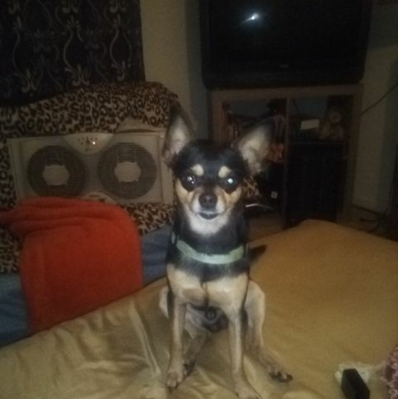 Profile Picture of April Gomillion (@aprilgomillion) on Poshmark