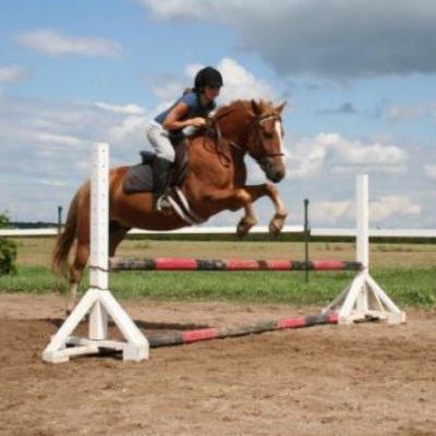 🐴Erin_Cowboy🐴 - Tiktok Profile Picture of 🐴Erin_Cowboy🐴 (@@erinstuckey) on Tiktok