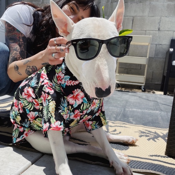 Sofia Snyder - Poshmark Profile Picture of Sofia Snyder (@svsm) on Poshmark