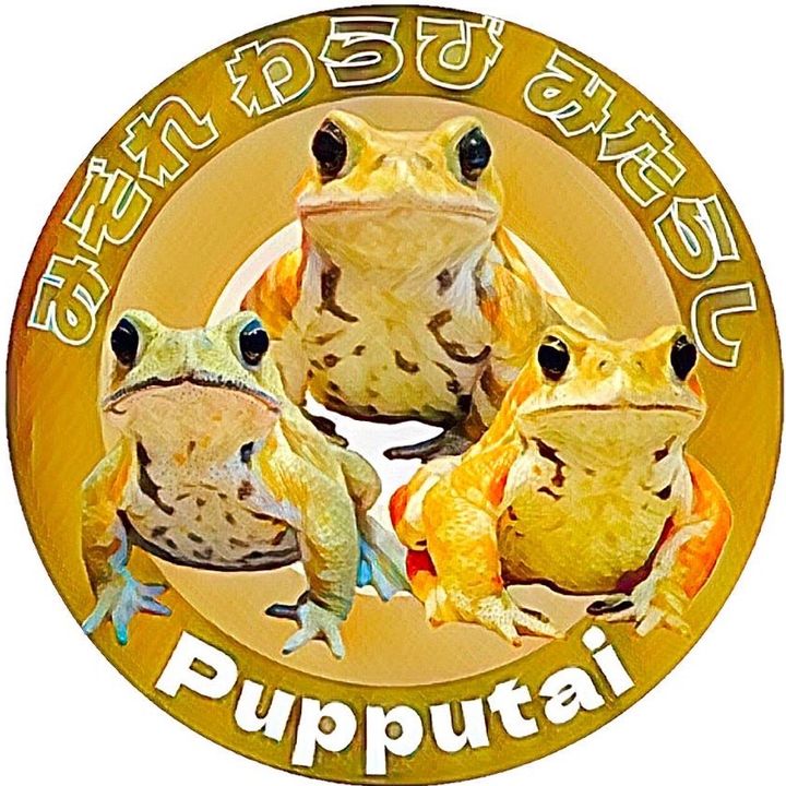 Profile Picture of 🐸ぷっぷ隊🐸 (@pupputai) on Tiktok