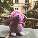 Profile Picture of Pluszak Daniel (@pluszakdaniel) on Instagram