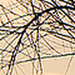 Lapecerallena - Flickr Profile Picture of Lapecerallena (@lapecerallena) on Flickr