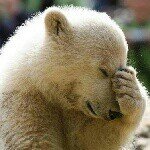 Profile Picture of Sylvia  Xue (@xuesylvia) on Instagram