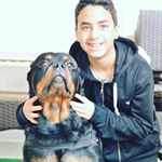 Adham Mohamed - Instagram Profile Picture of Adham Mohamed (@adhaammohamed_74) on Instagram