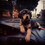 Profile Picture of Keith Pedroza (@bunnyiwantclever) on Instagram