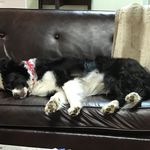 David Warfield - Instagram Profile Picture of David Warfield (@geoffrey_canon) on Instagram