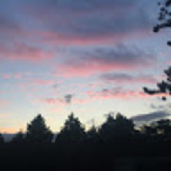 Profile Picture of Emily Keil (@e_keil) on Poshmark