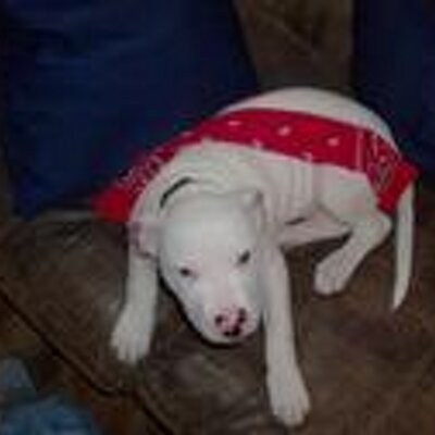 Profile Picture of Jason Wade Beker (@jason51104) on Twitter