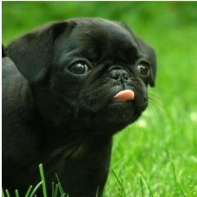 Profile Picture of Kevin Casas 8 (@kevincasas8) on Twitter