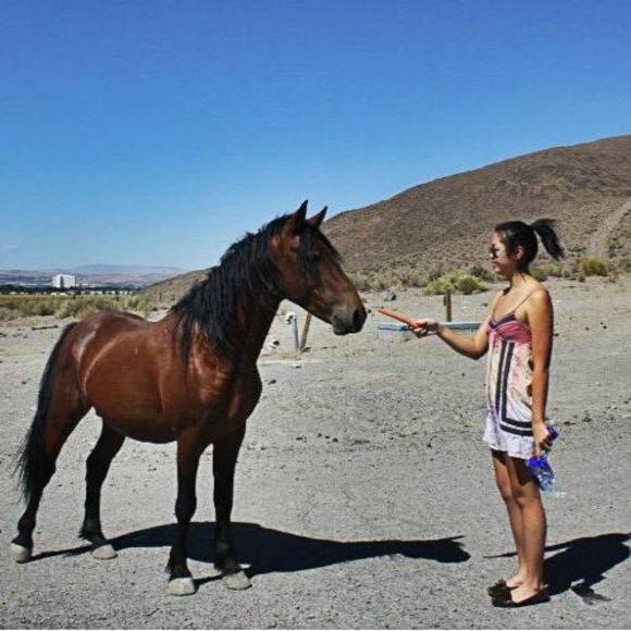 Profile Picture of Alice Wang (@totsalatte) on Poshmark