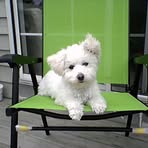 Profile Picture of Debora Remmich (@debora.remmich.1) on Facebook