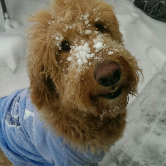 Profile Picture of Lyle Zimbler (@lzimbler) on Poshmark