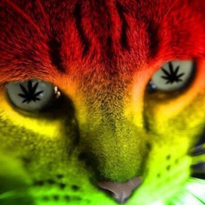 Profile Picture of Adam Symons (@@Symons2013) on Twitter
