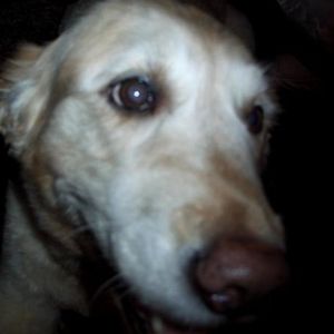 Profile Picture of Brian Sundberg (@408613701) on Myspace