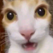 Profile Picture of Ralph Raymond (@ralphraymond2747) on Youtube