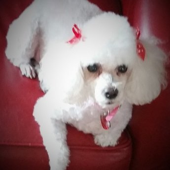 Profile Picture of Vince Ward (@VinceWard14) on Twitter