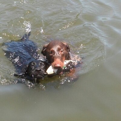 Profile Picture of Beth R Jaffe Weiner (@CgtKids) on Twitter