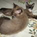 Profile Picture of Beatrice Guthrie (@beatrice.guthrie.52) on Facebook