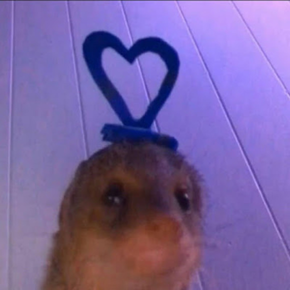 Profile Picture of Lily Roberts (@lilyroberts694) on Poshmark